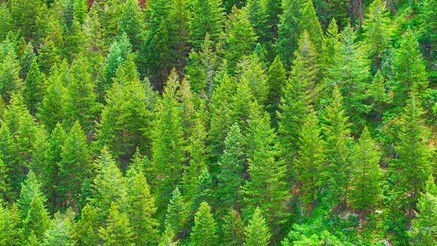 Glenwood Canyon 3.JPG