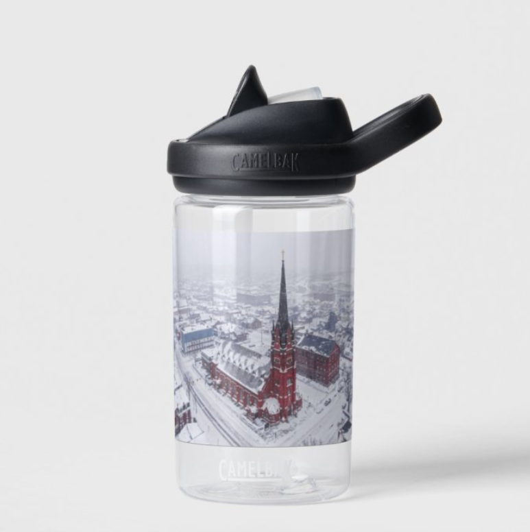 Beauty in the Blizzard - Dubuque, IA