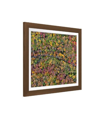 Thumbnail: Autumn from Above the Mines of Spain - Dubuque, IA