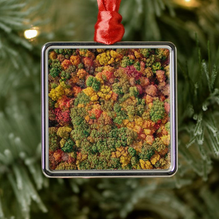 Thumbnail: ColorFall Canopy - Dubuque, IA
