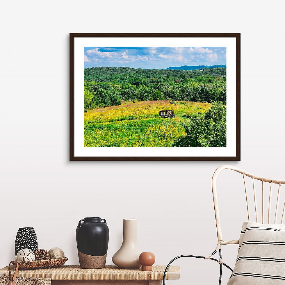 Thumbnail: Prairie Outlook: Mines of Spain - Dubuque, IA