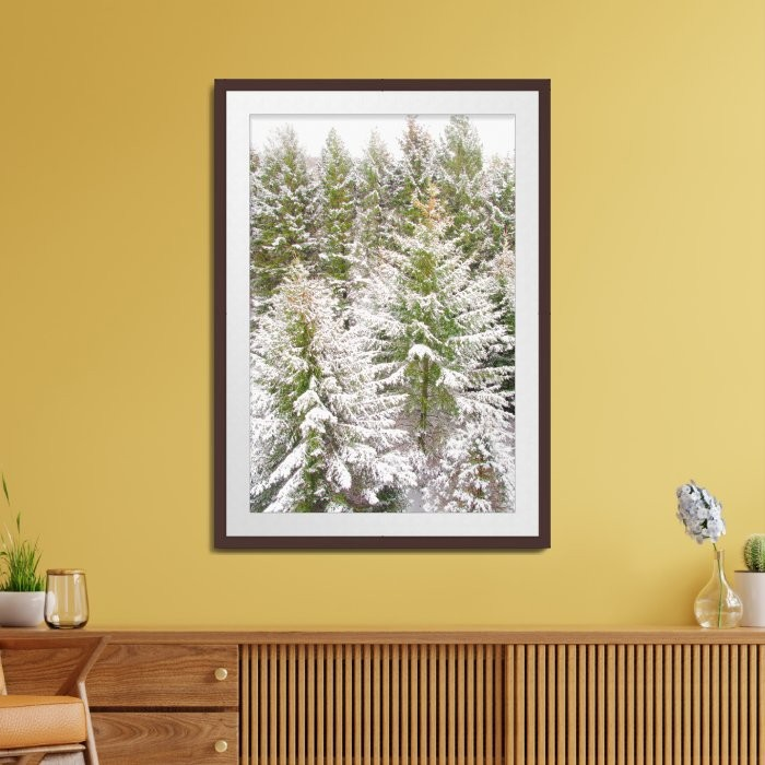 Thumbnail: Evergreen Dreams - Dubuque, IA