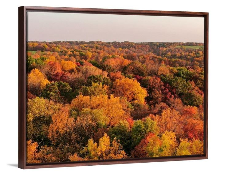 Thumbnail: ColorFall Countryside - Dubuque, IA