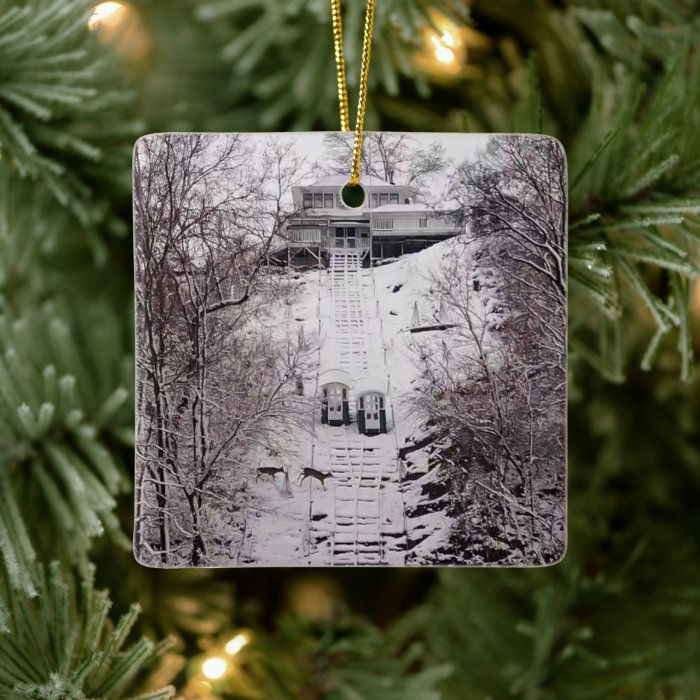 Thumbnail: Wintery Visitors at Fenelon - Dubuque, IA