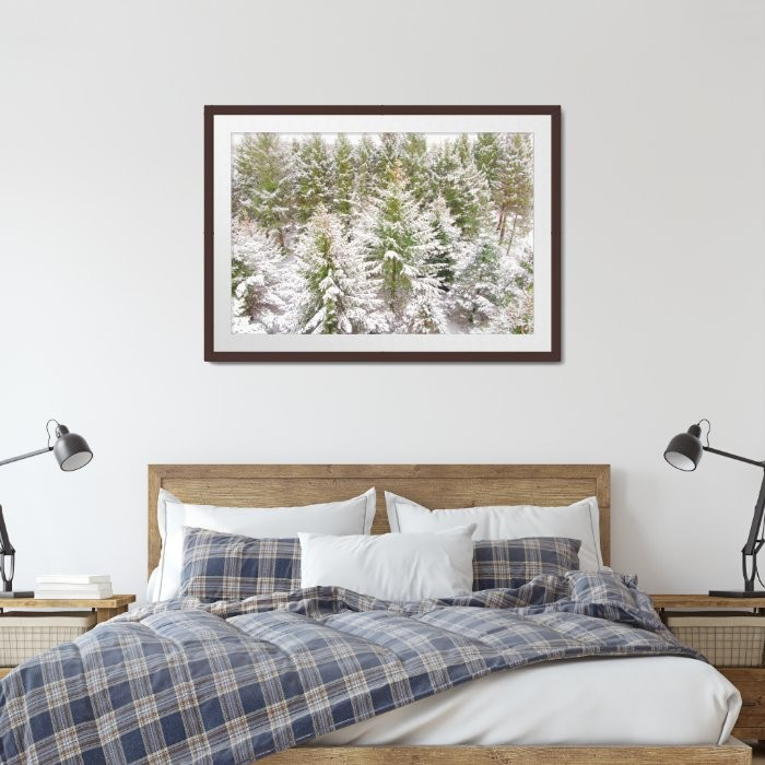 Thumbnail: Evergreen Dreams - Dubuque, IA