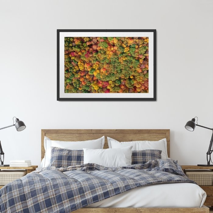 Thumbnail: ColorFall Canopy - Dubuque, IA