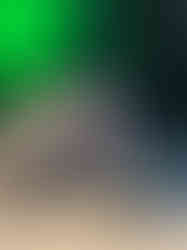 18095959057916813.jpg