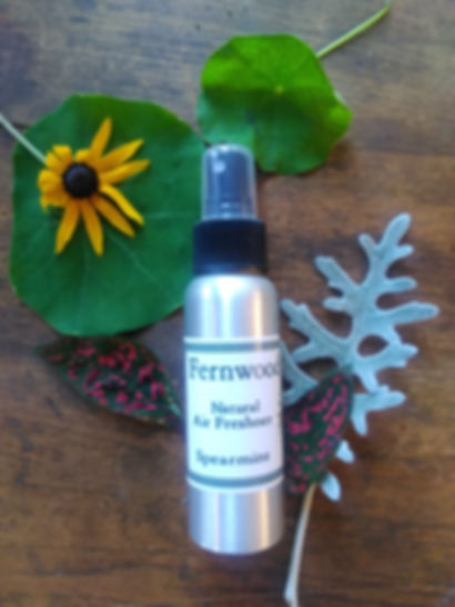 Spearmint Air Freshener