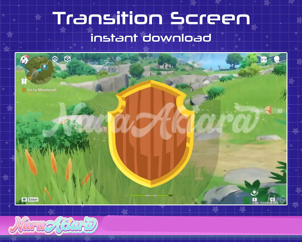 サムネイル： Boost Your Streaming Experience with Our Animated Skull Shield Transitions