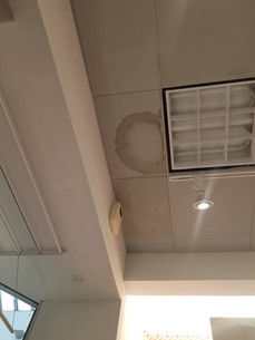 Ceiling Panel Replacement
