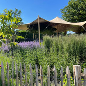 Paardenhof Terras