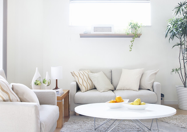Modern Living Room