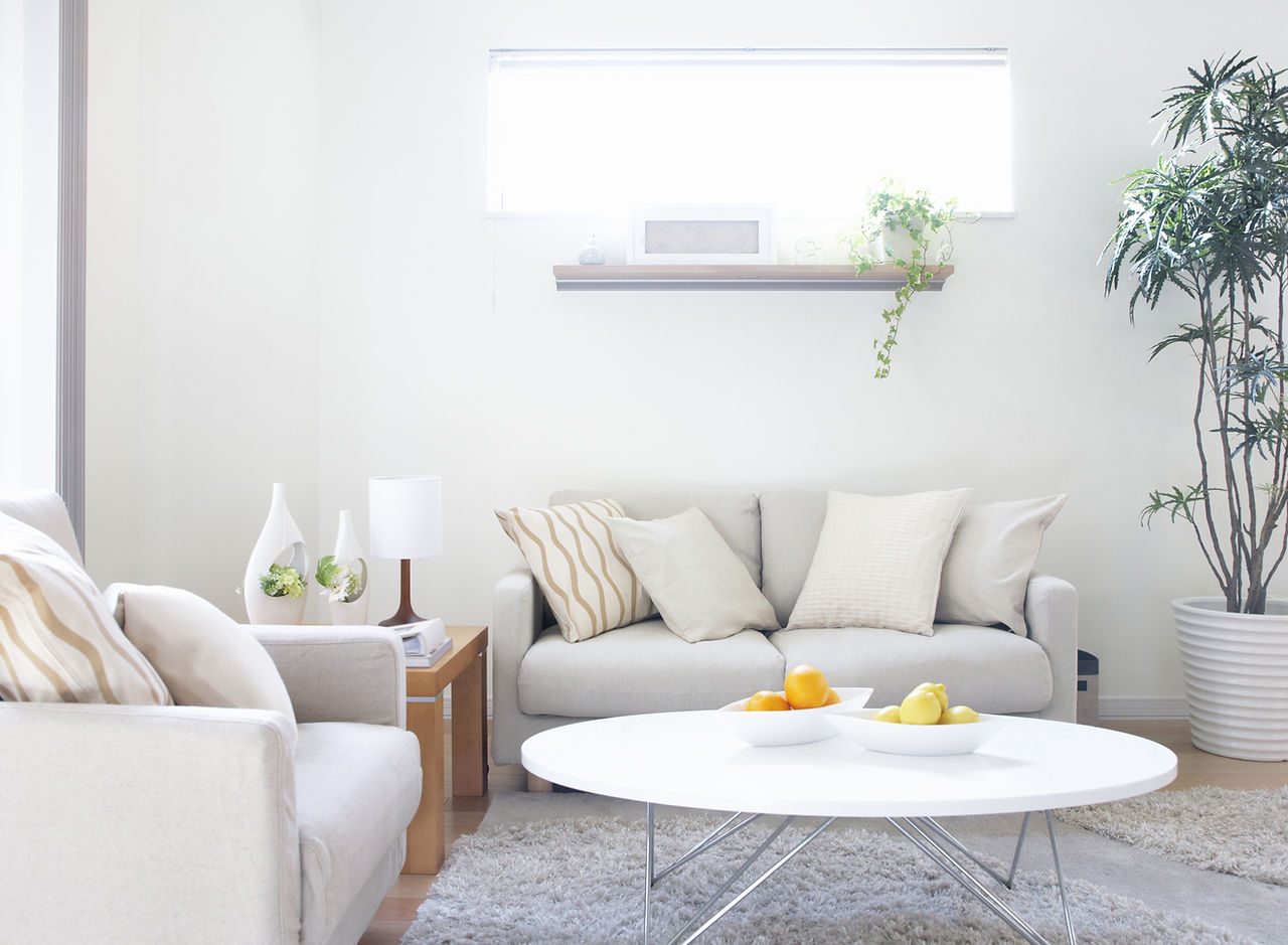 Modern Living Room