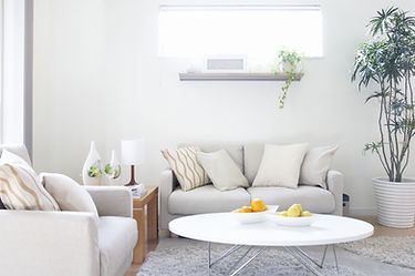 Modern Living Room