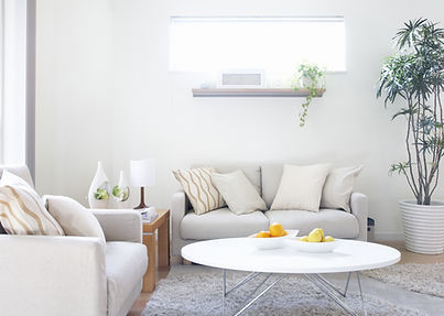 Modern Living Room