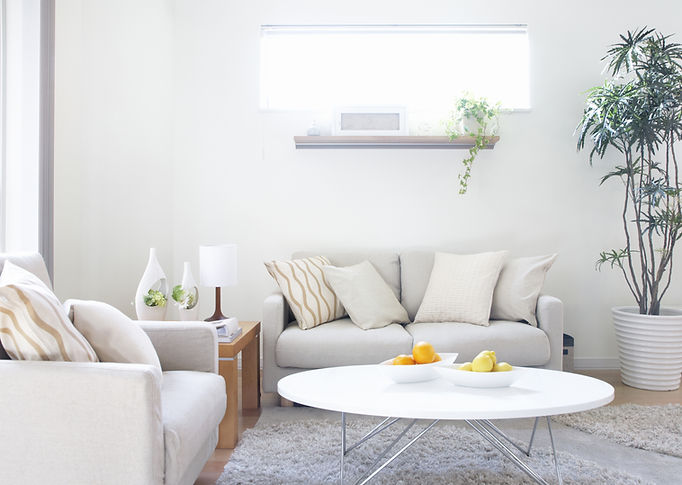 Modern Living Room