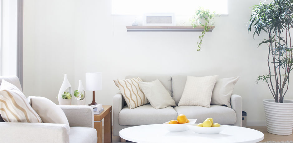 Modern Living Room