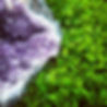 crystal and clover.jpg