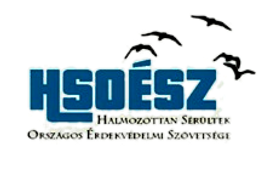 hsoeszlogo_edited.png