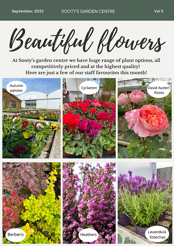 September 2022_ Page 12 (1).png