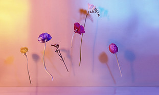 Floating Flowers_edited.jpg