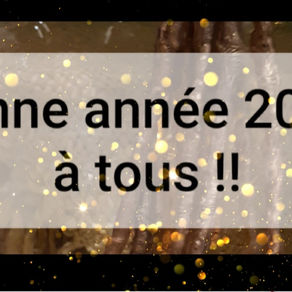 Les vœux du Président