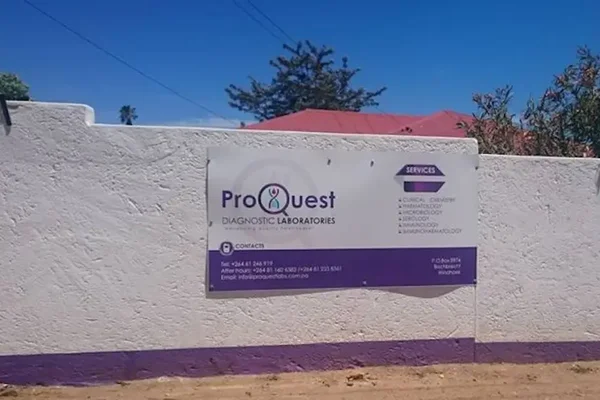 From their bedroom, Loide Uushona and Pendapala Shiyuka are redefining Namibia's medical lab field
