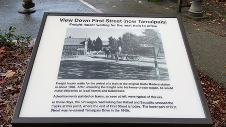 Interpretive Signage