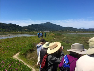 Marsh Walk 016.jpeg