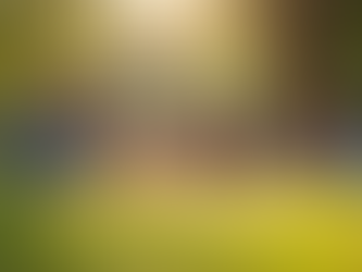 Top Benefits of Choosing Quality Life Insurance Plans