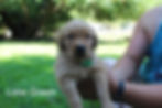 Tucker 5 Weeks.jpg