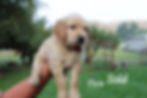 Jersey 6 Weeks.jpg