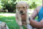 Oliver 5 Weeks.jpg