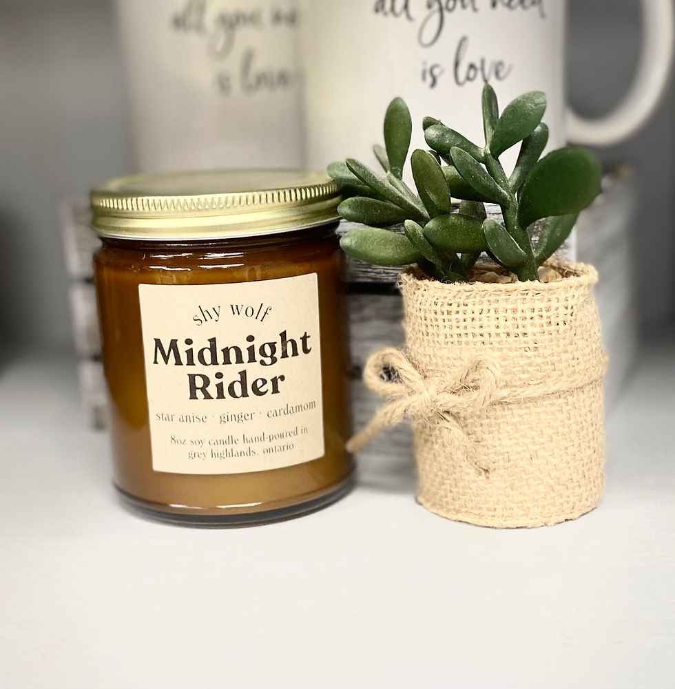 Midnight Rider