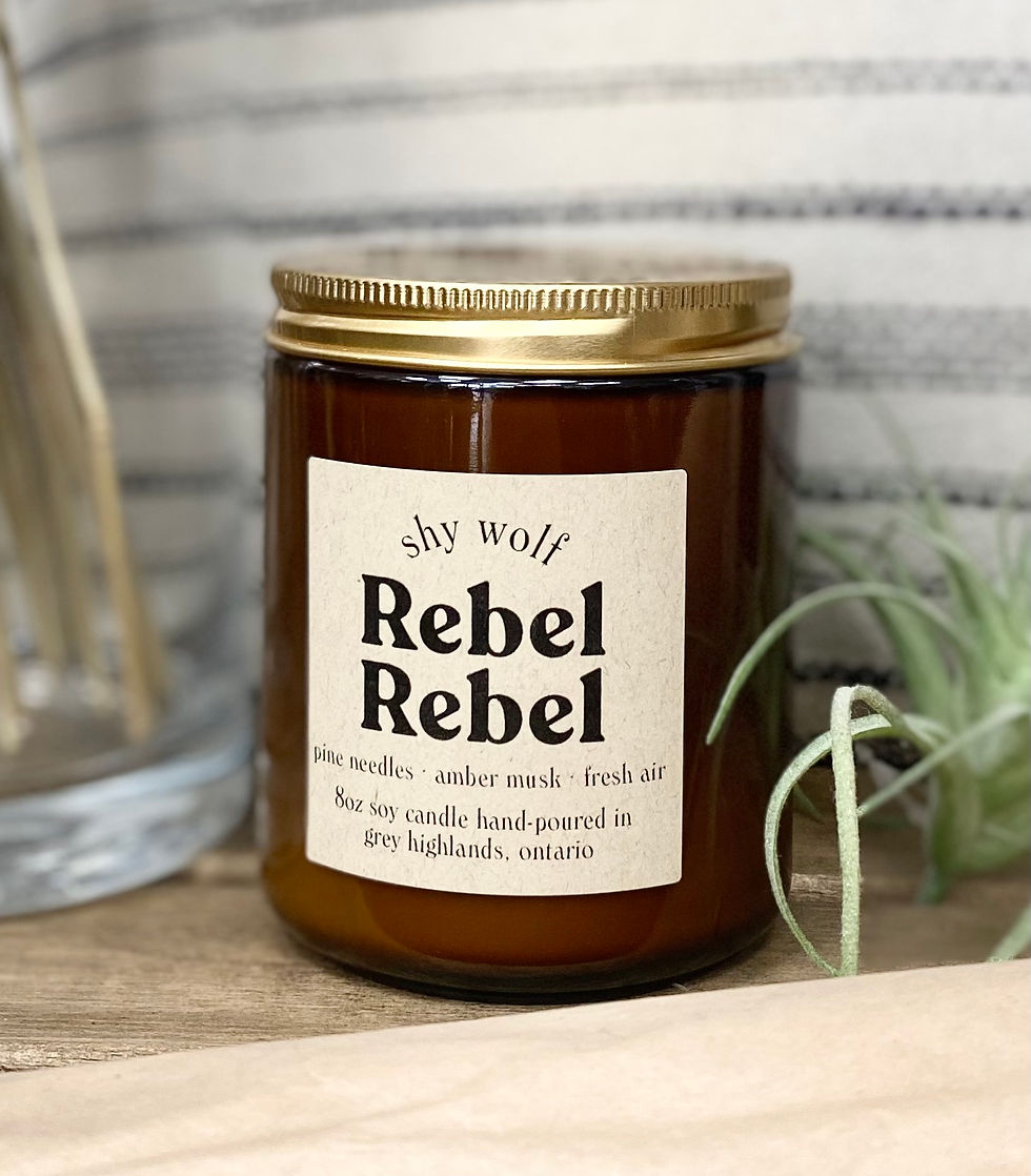 Rebel Rebel