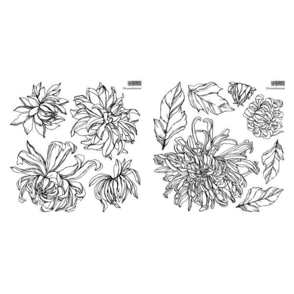 Chrysanthemums