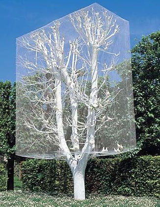 617247b0bc138a0dcec3f91caead4bde--cat-cages-bird-cages.jpg