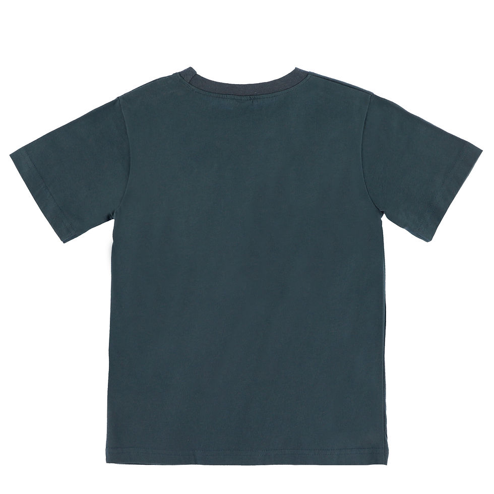 Miniature : NANÖ T-shirt promo ours polaire - Bleu (2-14 ans)