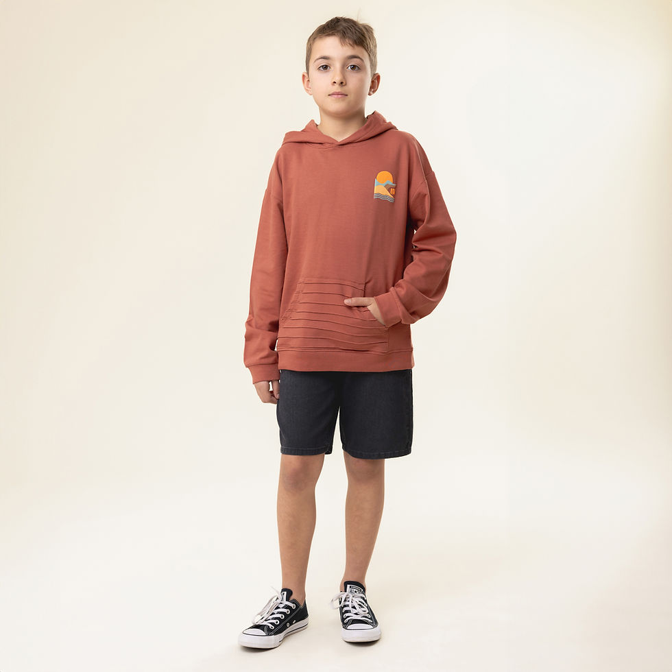 Miniature : NANÖ Chandail à capuchon S250705 - Brun (2-14 ans)