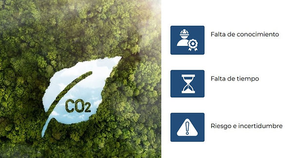 CO2 Hoja.jpg