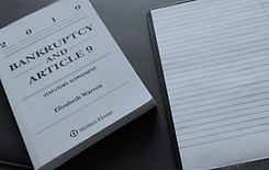 Bankruptcy and Creditors’ Rights_edited.jpg