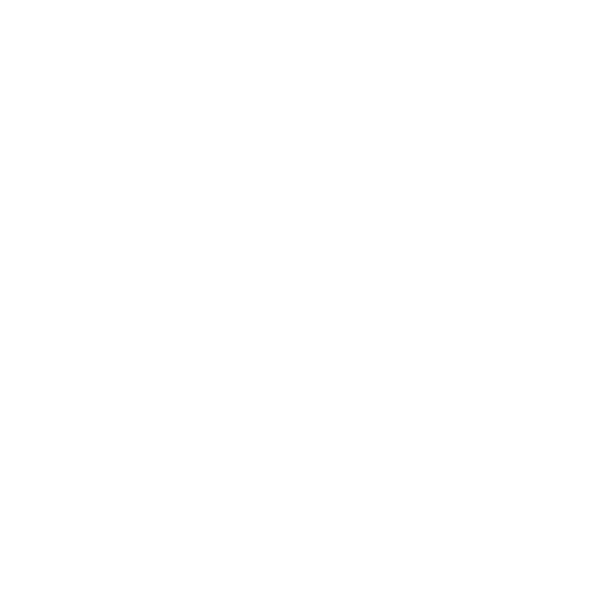 Friedhof+.png