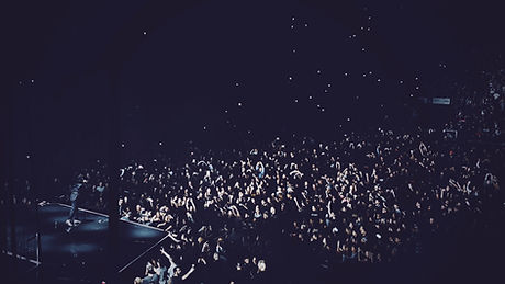 Big Concert Crowd