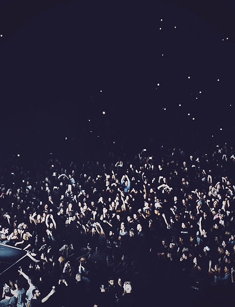 Big Concert Crowd