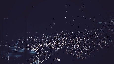 Big Concert Crowd