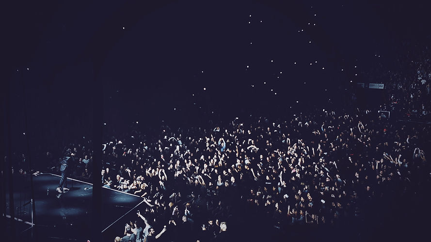 Big Concert Crowd