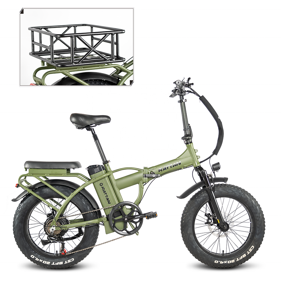 Folding Fat Tire E-Bike 750W US Warehouse