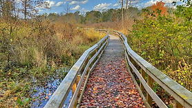 AFW Hike: Lord Stirling Park/Raptor Trust, Basking Ridge, NJ on Wednesday 12/24/2025