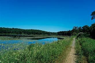 AFW Hike: Allamuchy Mountain State Park, NJ on Sunday 12/28/2025