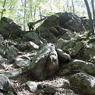 AFW Hike: 4-Birds Trail, NJ on Saturday 8/30/2025